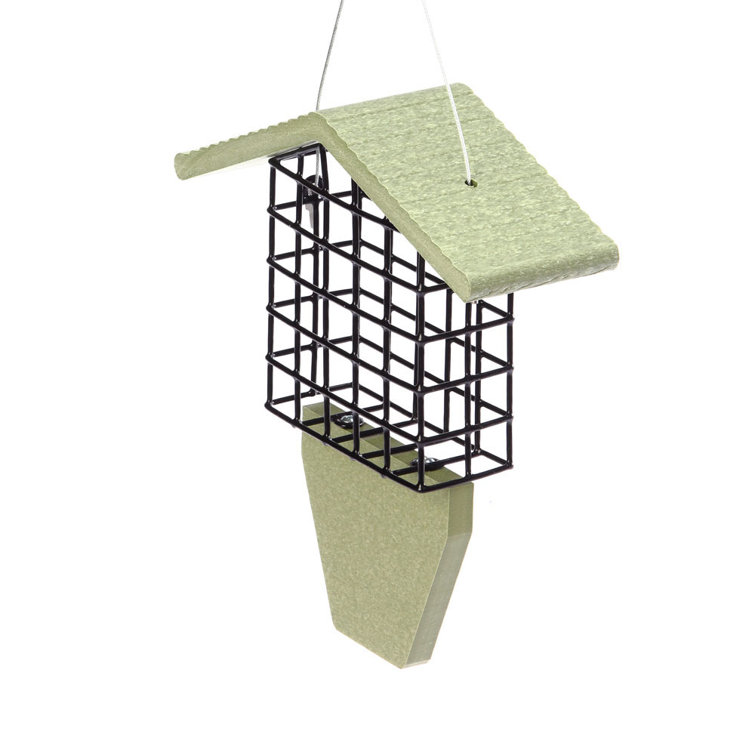 Birds Choice Hanging Suet Bird Feeder & Reviews Wayfair Canada